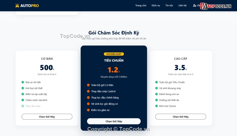 Website giới thiệu,Web giới thiệu,Web dịch vụ